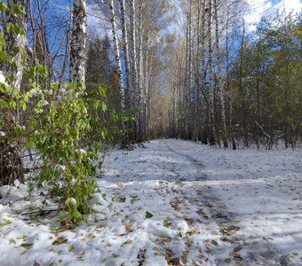 Снежный октябрь