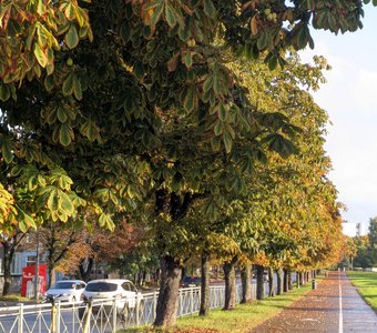 Осень в городе