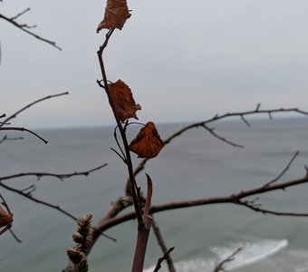 Лёгкое опустошение