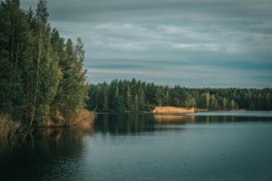 В России прошла премьера фильма «Лес. Хранитель жизни»