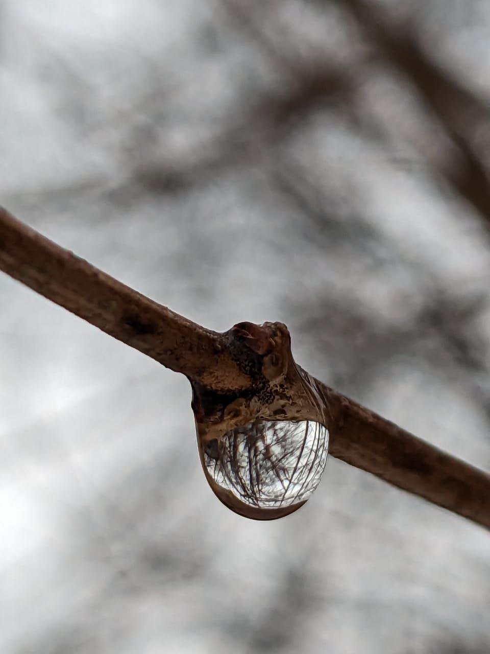 Энергия весны