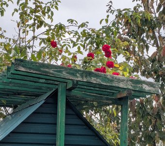 Букетом встречай - букетом провожай