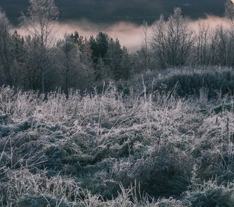 Первые заморозки