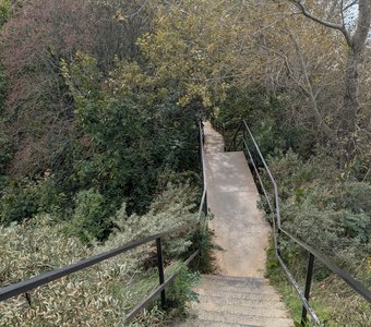 Проводница