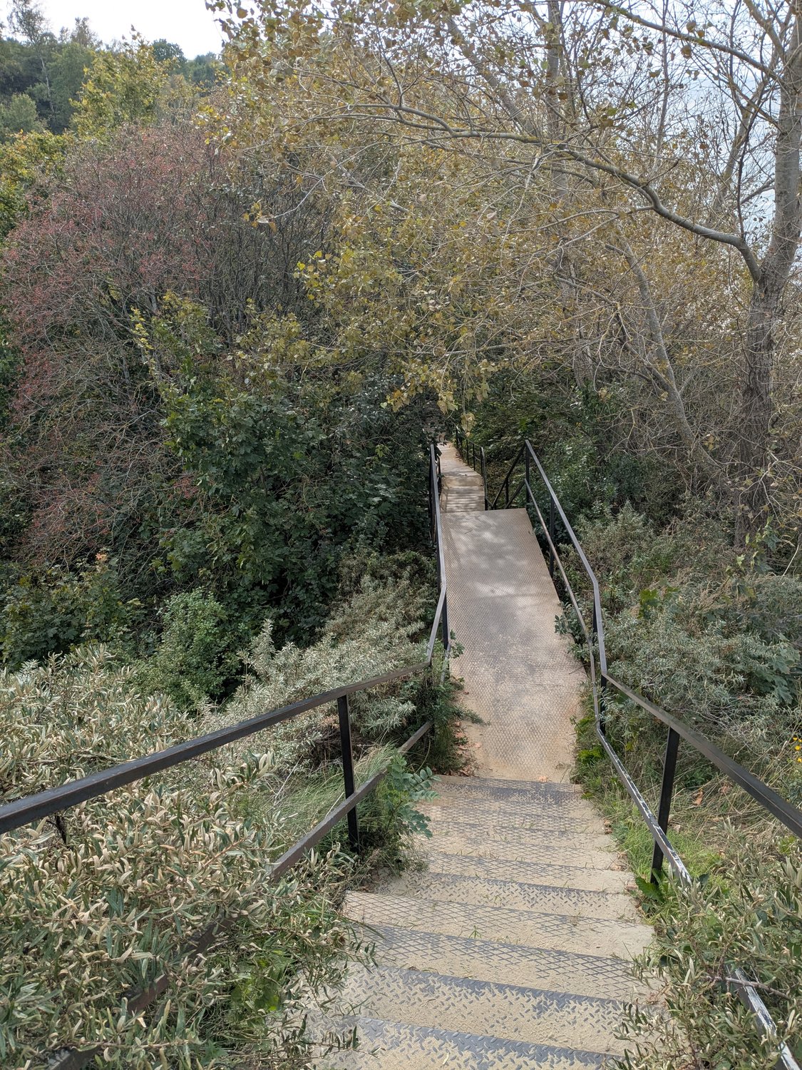 Проводница