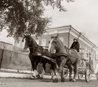 Извозчик в Коломне.