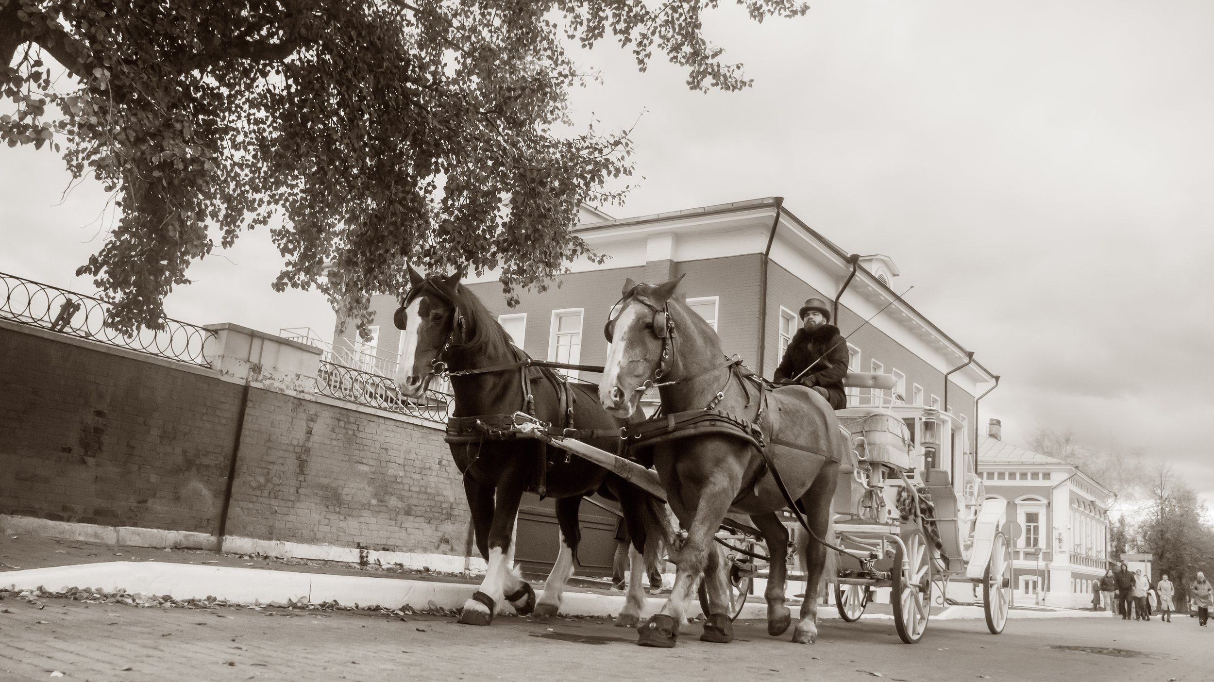 Извозчик в Коломне.