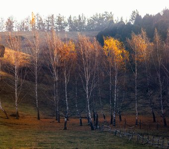 В утреннем свете