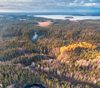 Уходящая осень