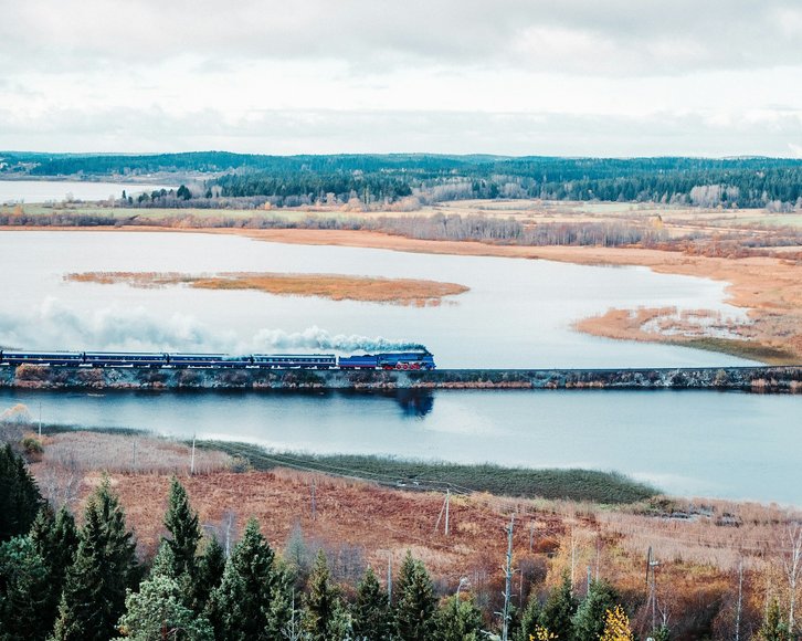 Фото: Evgenii Zolotarev / Unsplash