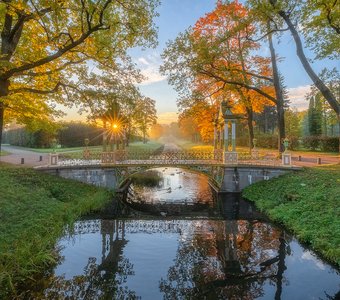 Живописное утро в Александровском парке.