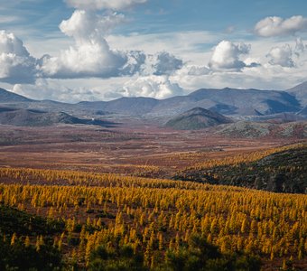 Мелодия осени