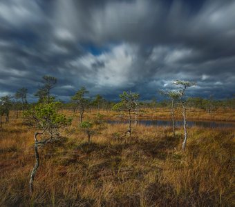 На болото идёт непогода