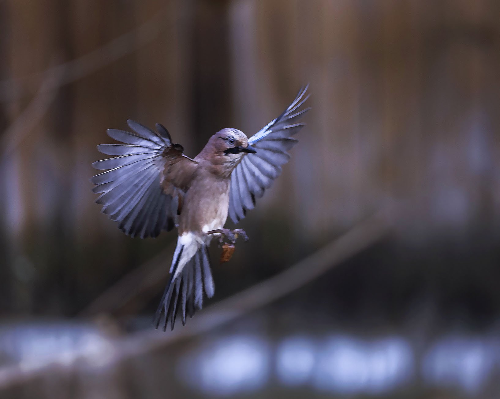Полёт с осенним акцентом