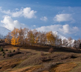 Огни уходящей осени