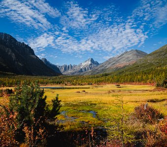 Осенняя Нарния