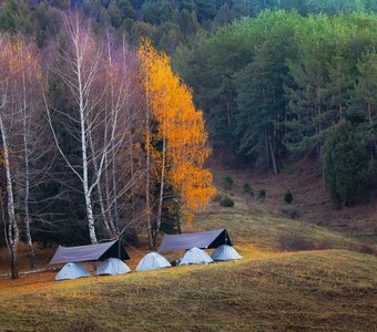 Огни уходящей осени