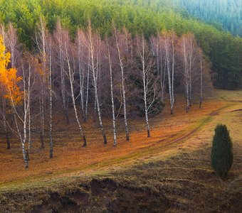 Огни ускользающей осени