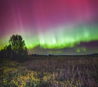 Изумрудные чудеса