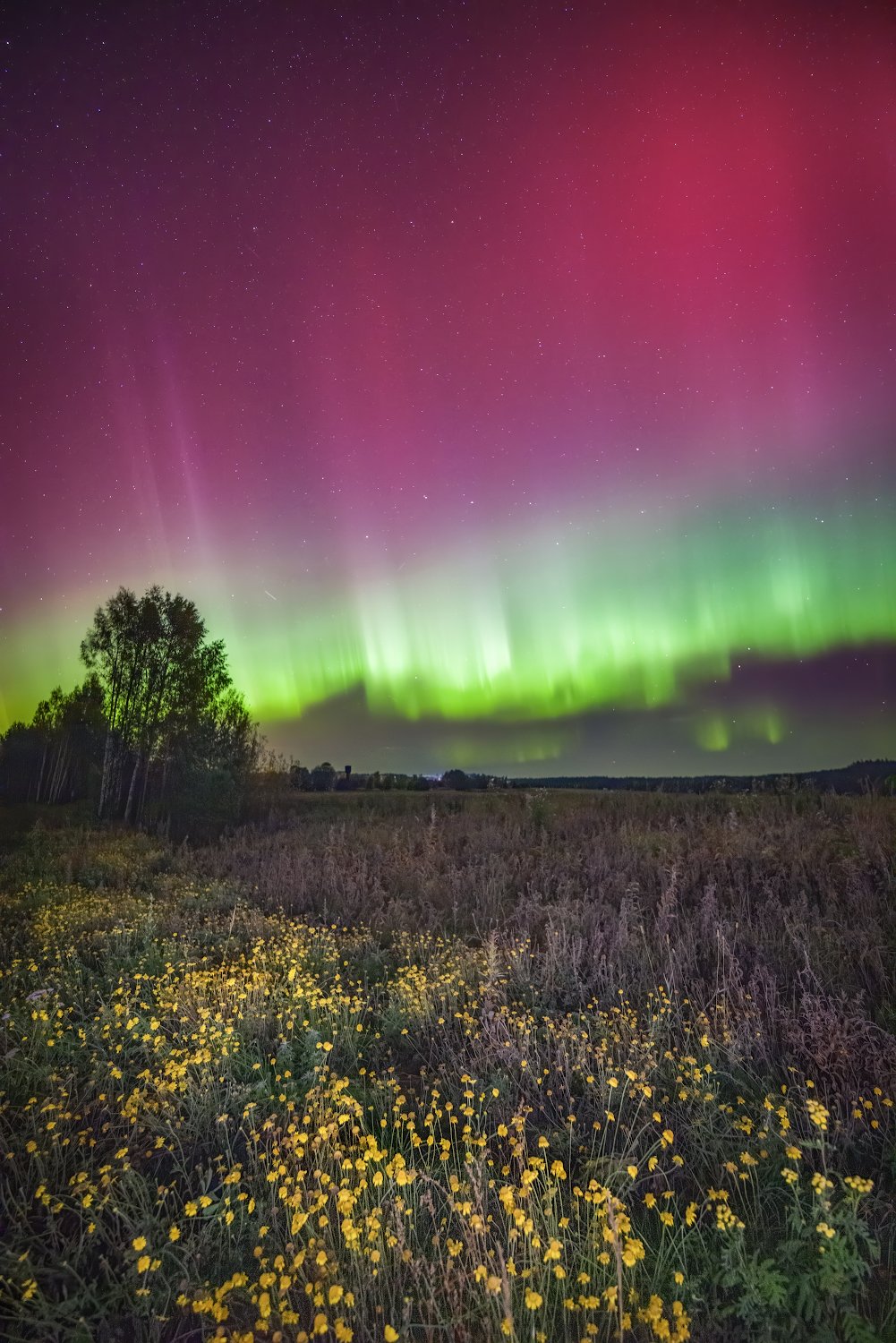 Изумрудные чудеса