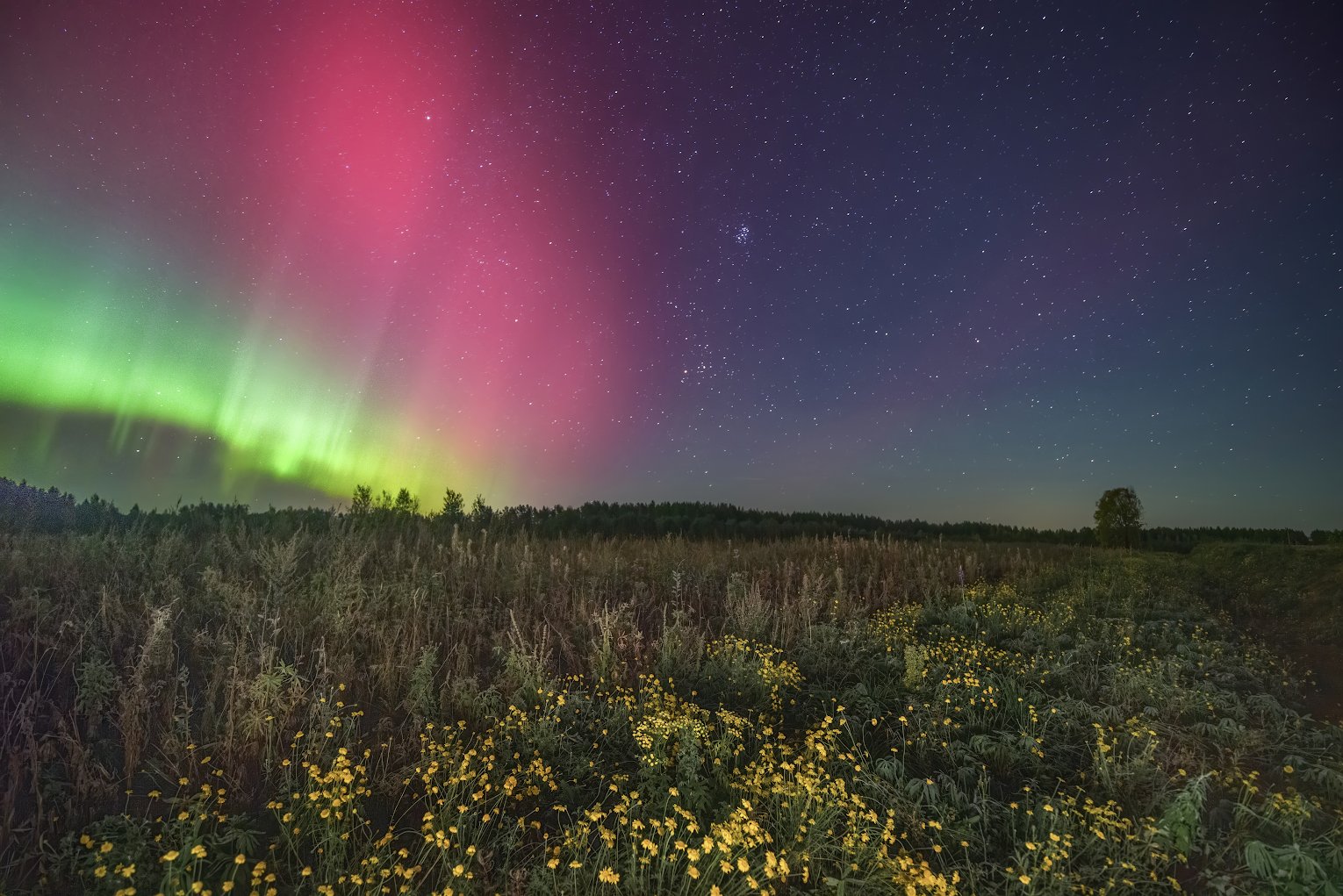 Изумрудные чудеса