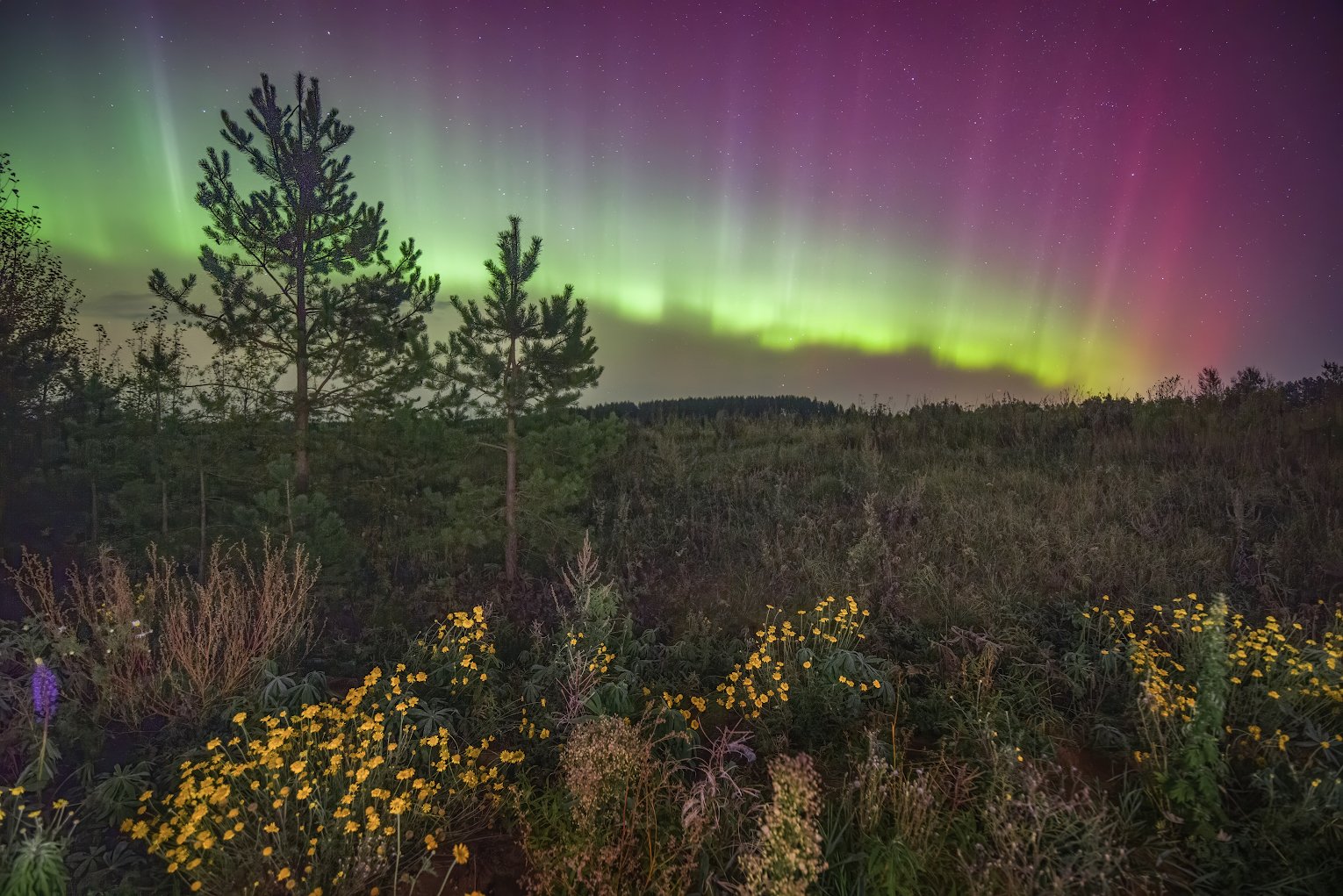 Изумрудные чудеса