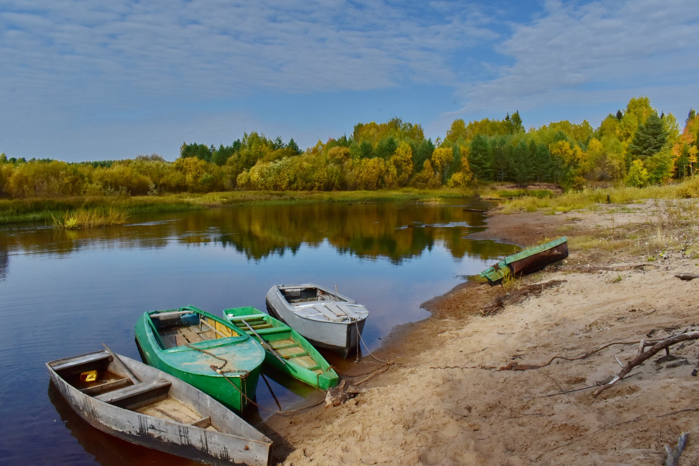 На берегу Лолога