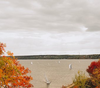 Жёлто-красный