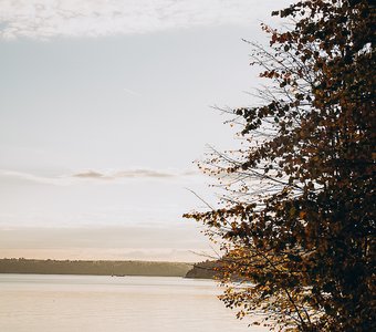 Пойдём со мной