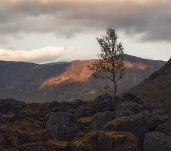 Цирк Ганешина, Хибины