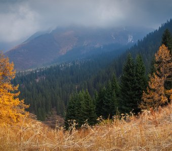 Аккорды осени