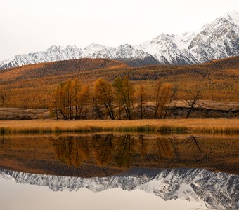 Хмурое утро