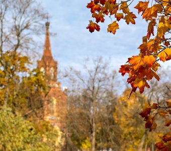 Пушкинская осень