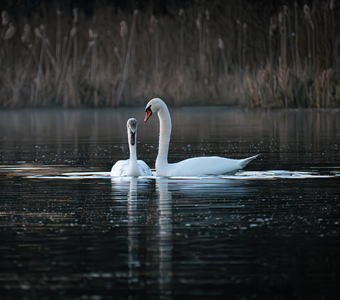 Виноват. Исправлюсь.