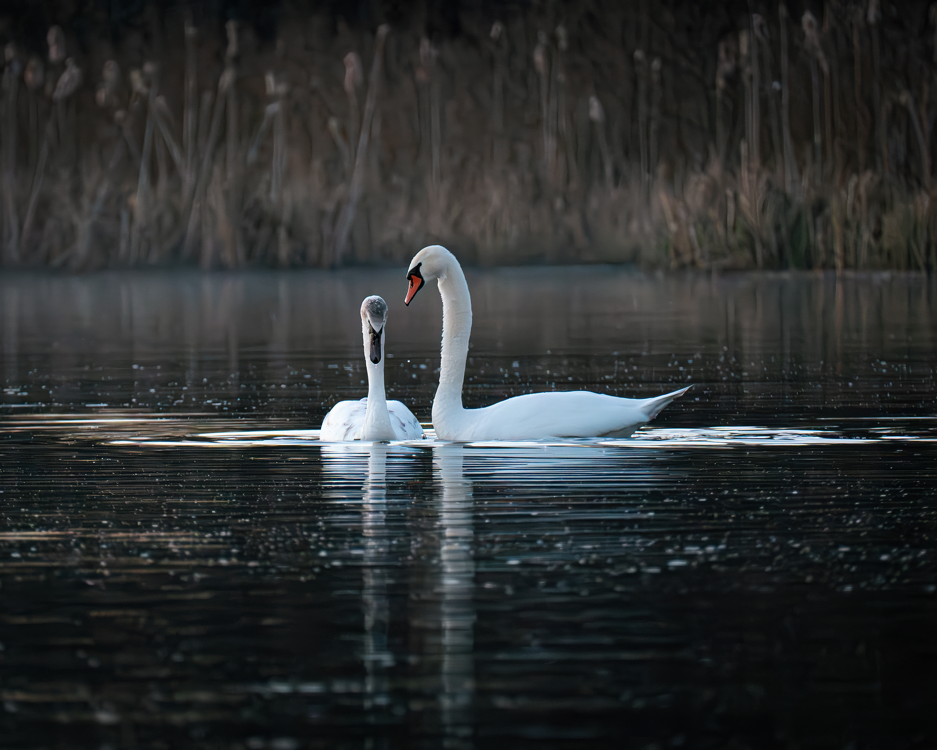 Виноват. Исправлюсь.