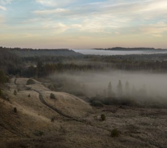 Дорога в туман