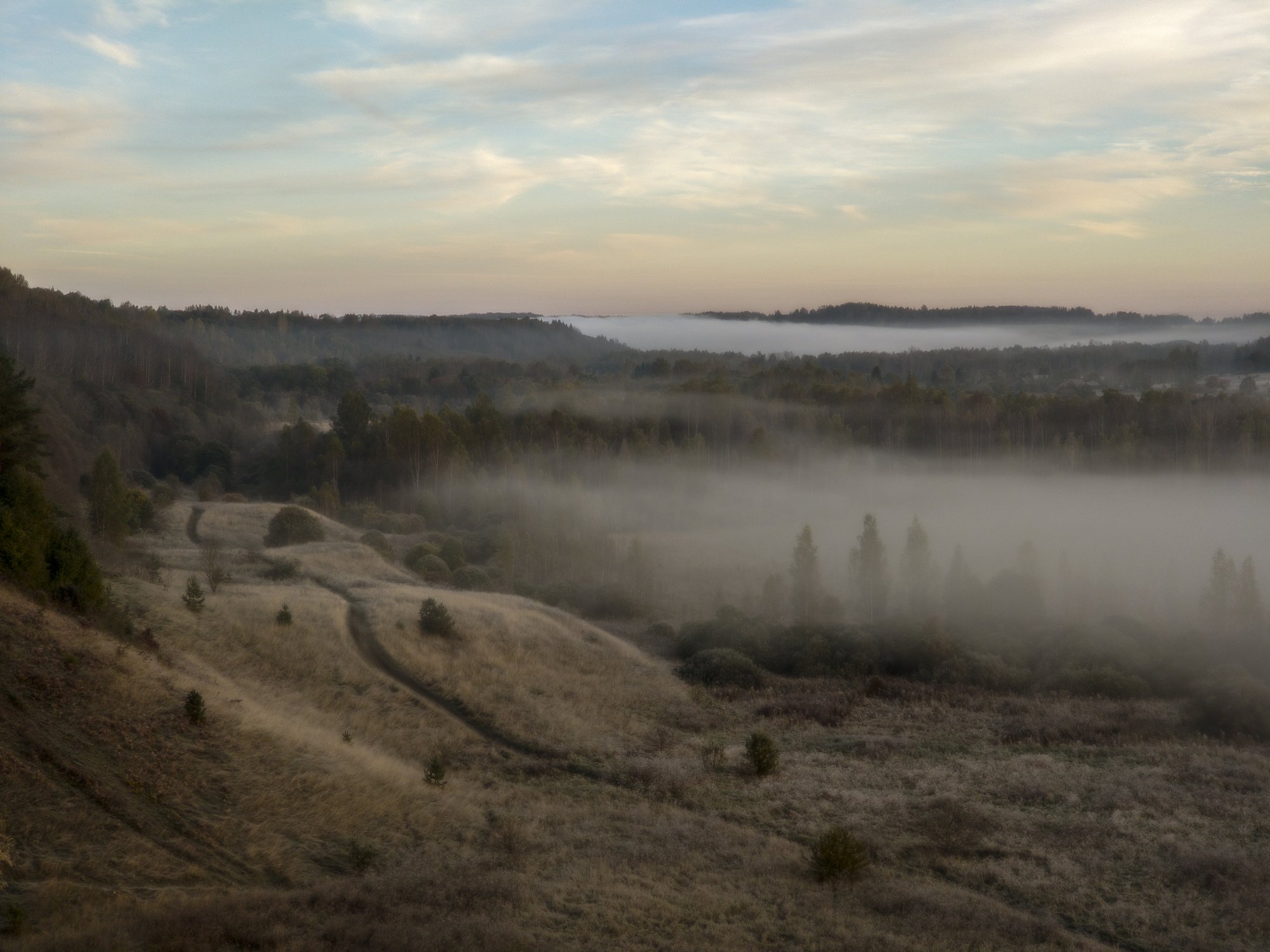 Дорога в туман