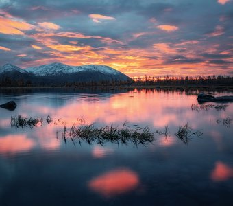 Мистичный рассвет