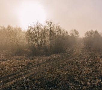 Нежный рассвет