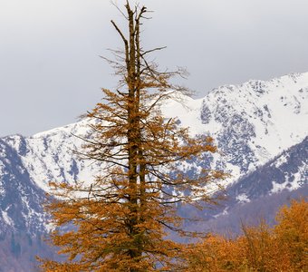 Осень на Кавказе