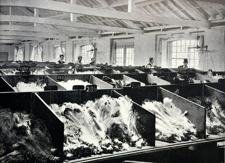 Фото: Предоставлено редакцией «Вокруг света»