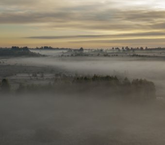 Тихое дыхание утра