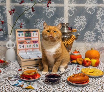 Вечернее чаепитие в гостях у Фили