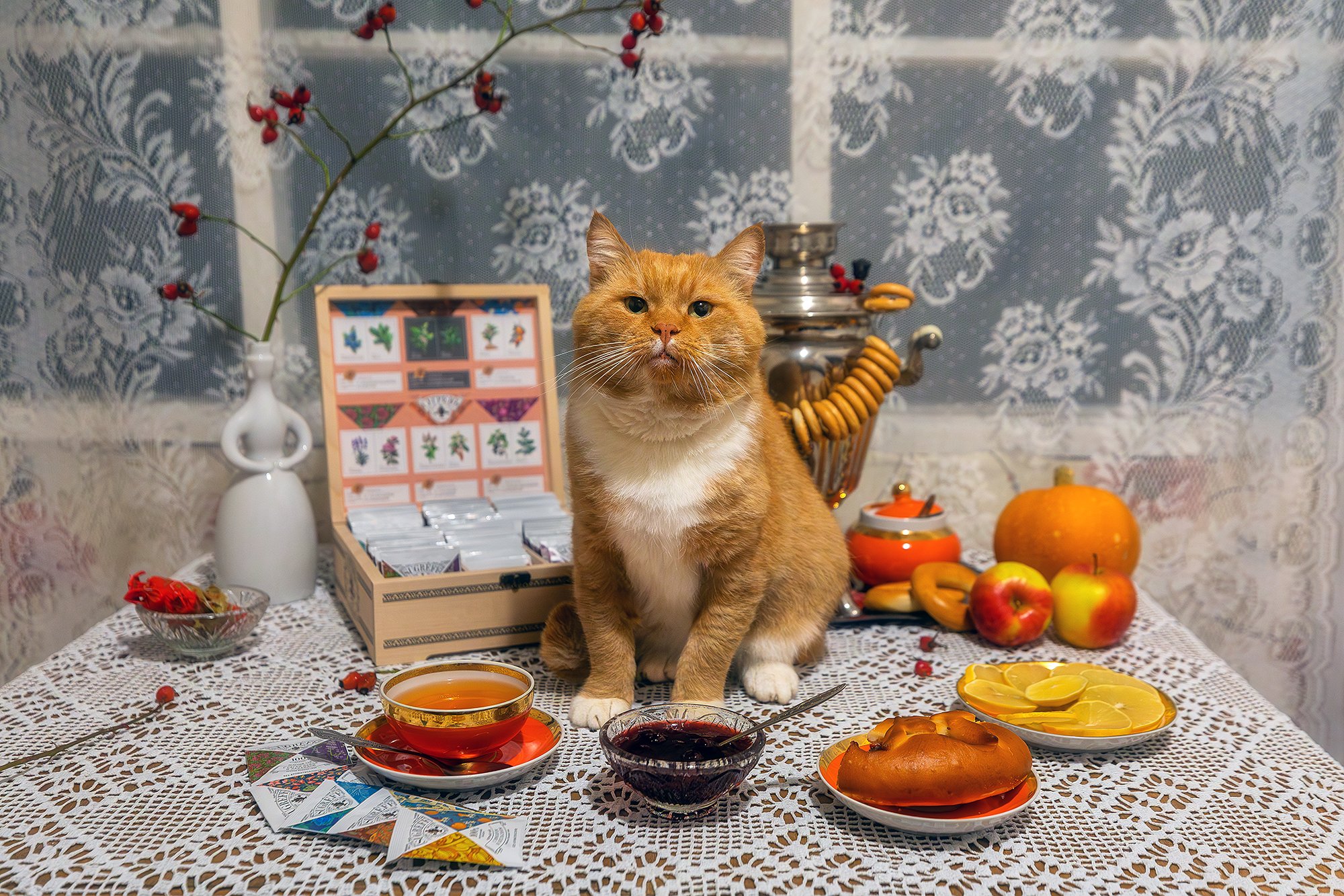 Вечернее чаепитие в гостях у Фили