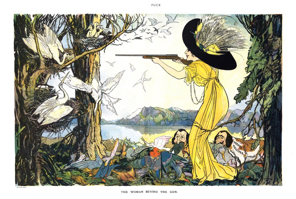 Смертельная мода: как шляпки и удочки аристократов уничтожали дикую природу