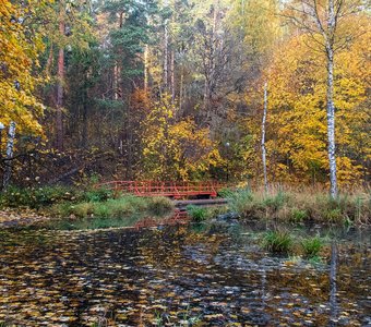Осень в Подмосковье