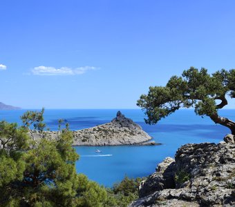 Новый Свет, Крым