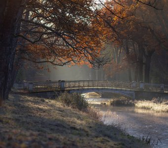 Увядание осени