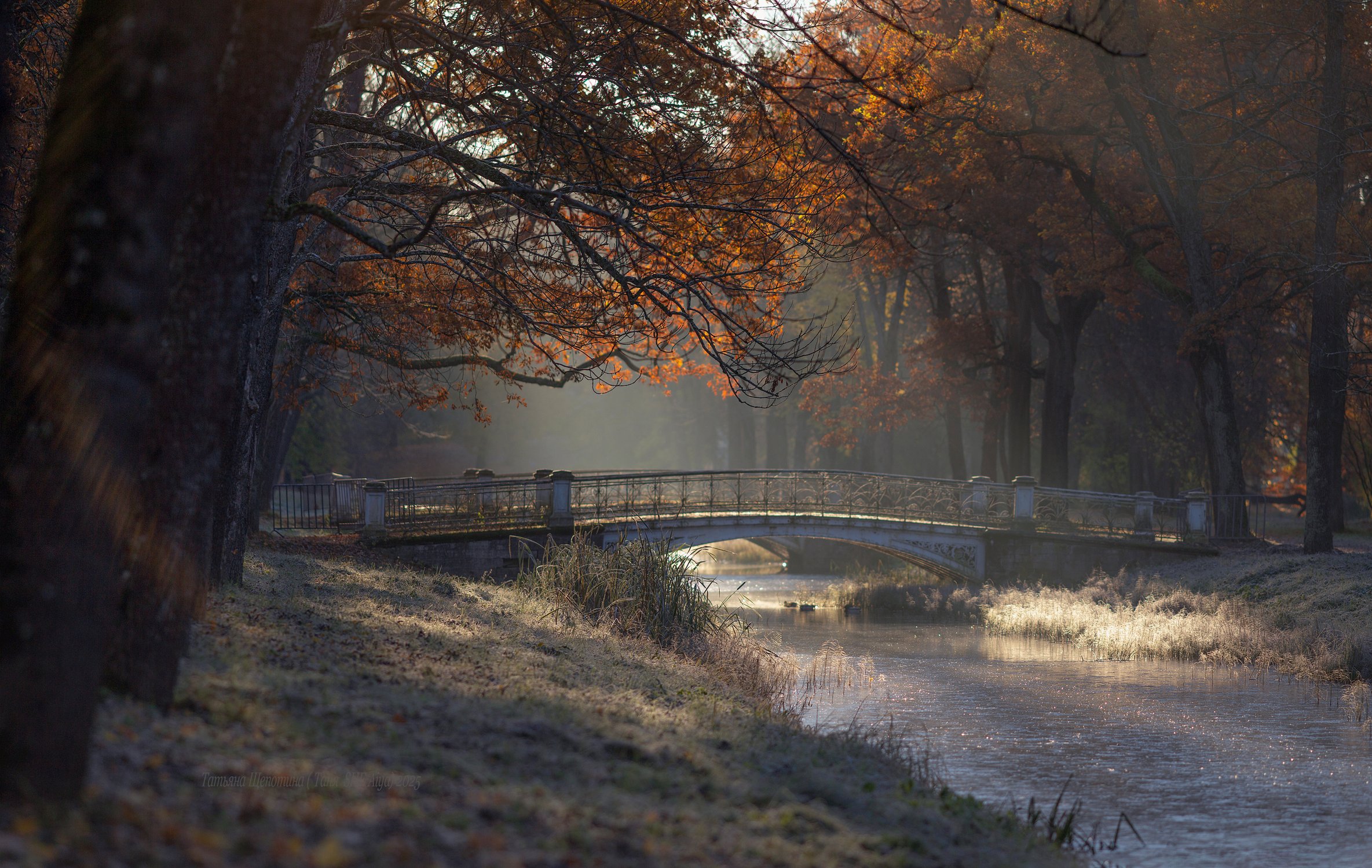 Увядание осени