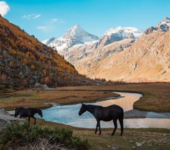 Ущелье Мырды